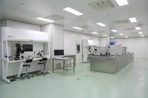 郑州试管助孕费用明细（如何优化郑州试管助孕流程）